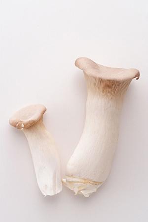 2026年最新版｜大阪駅で絶対に外さないランチスポット完全ガイド