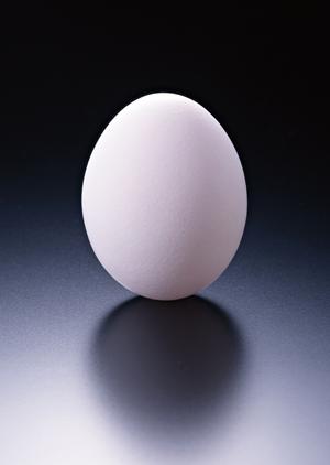 渋谷のシェイクシャック: 新たなグルメ体験