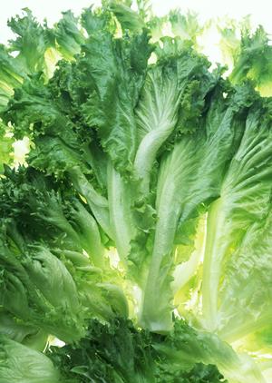 岡山県津山市発のおいしい仕出し弁当と惣菜の専門店！つるやの魅力と特徴をご紹介